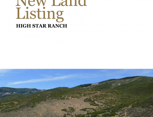 910 Wasatch View Drive